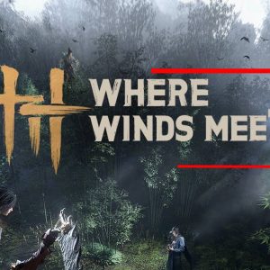 Where Winds Meet